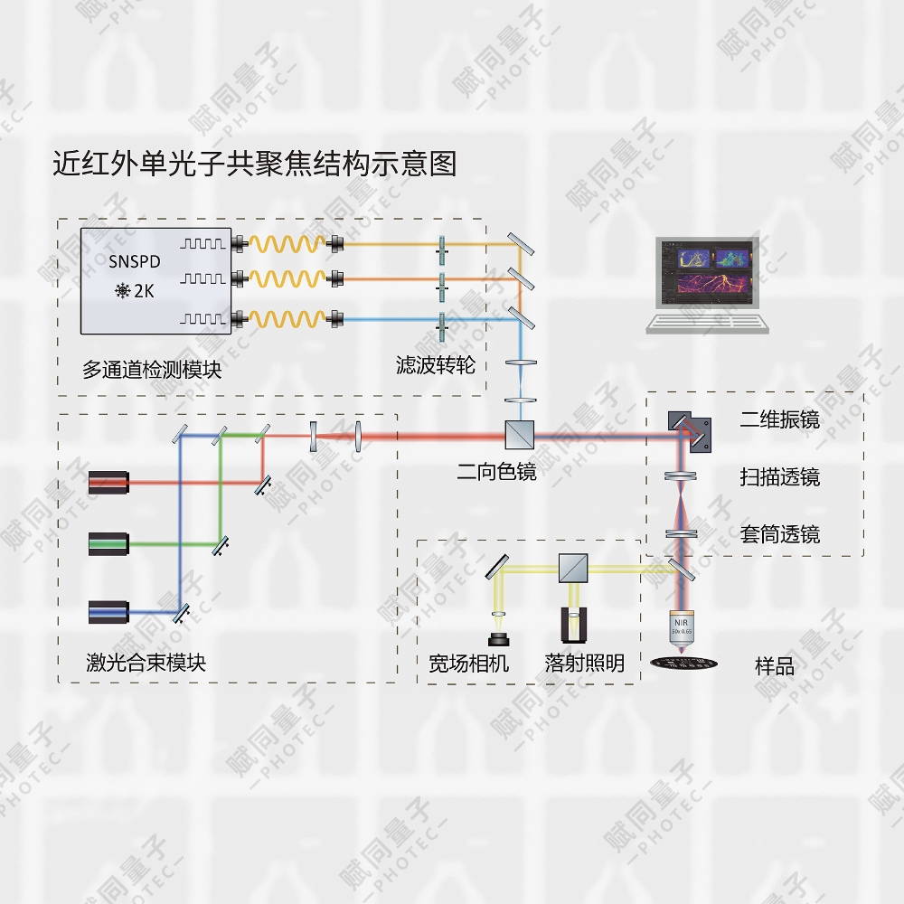 Qumi超導探測激光掃描共聚焦顯微鏡